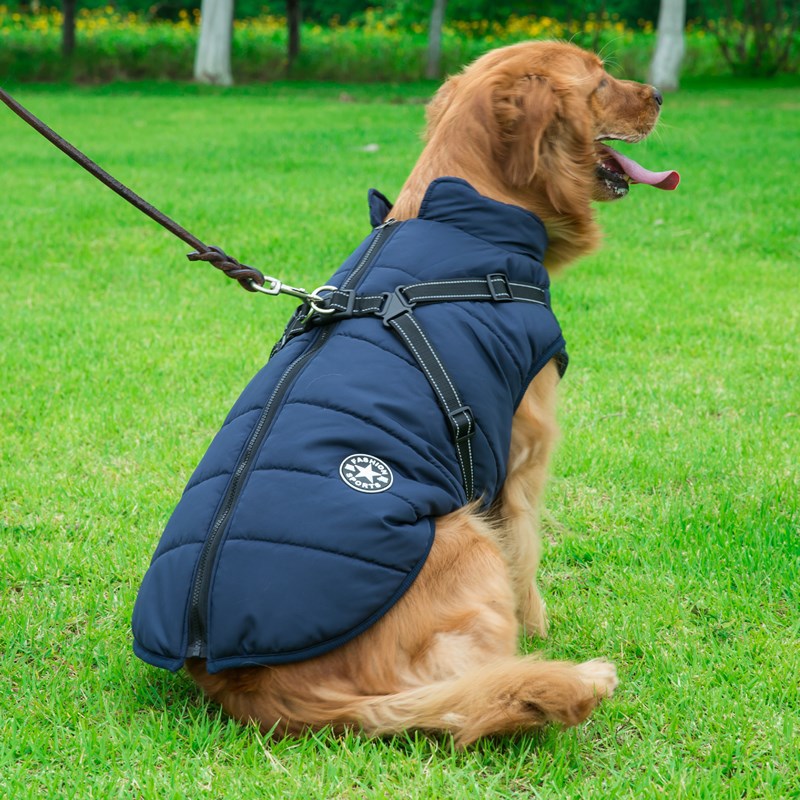 Warm jacket for dogs