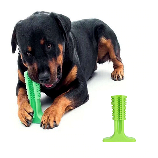 Dog toothbrush stick toy - Image 3