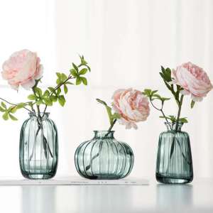 Hydroponic glass vase