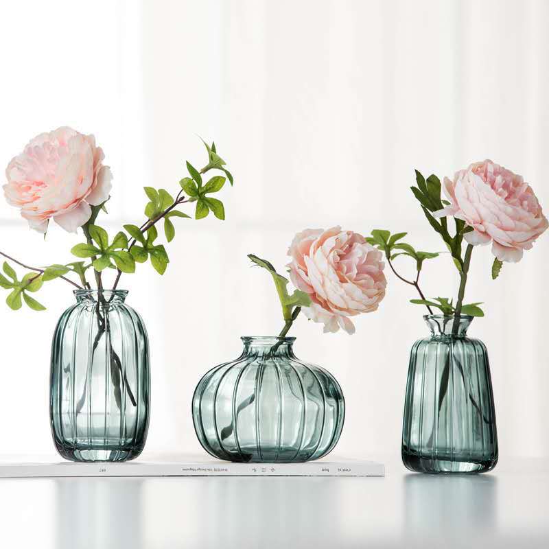 Hydroponic glass vase
