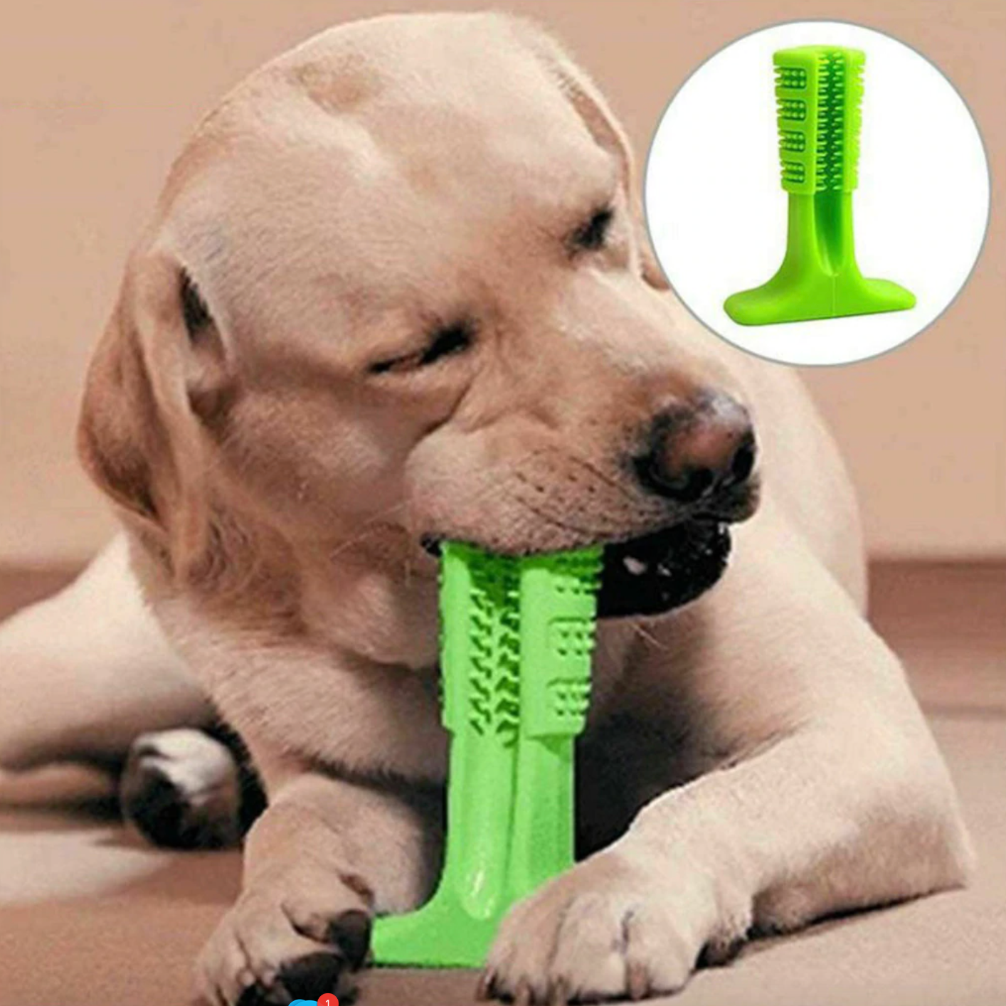 Dog toothbrush stick toy - Image 4