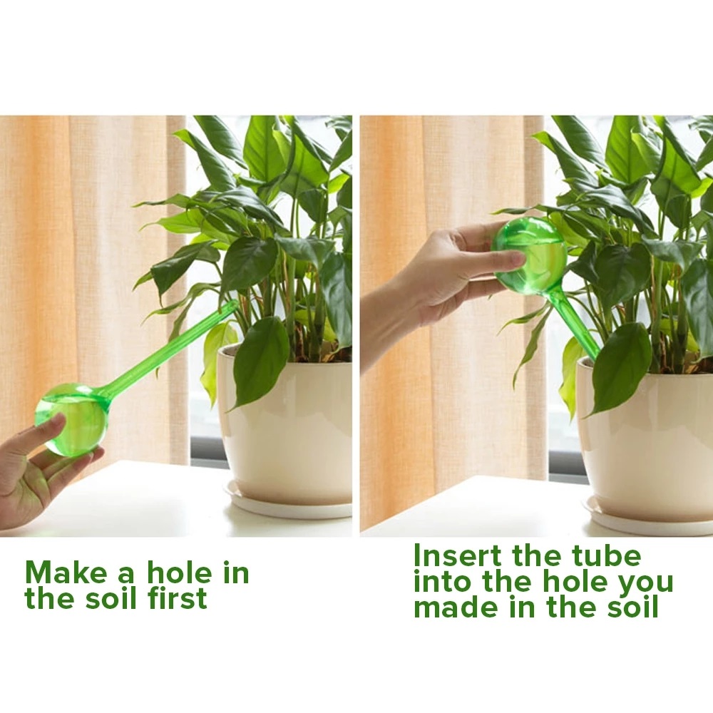 Drip irrigation plant watering globes - multi packs - Image 8
