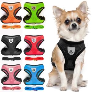 Adjustable pet mesh vest with leash