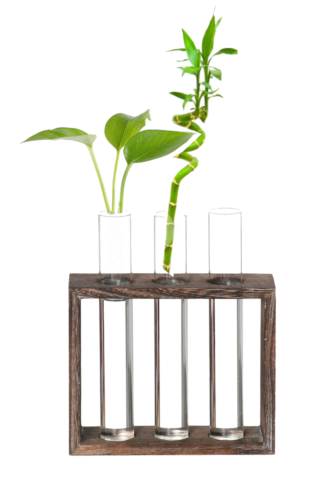 Wooden frame glass tube vase - Image 3