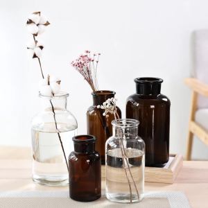 Hydroponic apothecary style glass vase