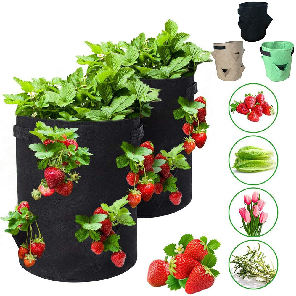 Fruit and vegetables grow bag - Image 17