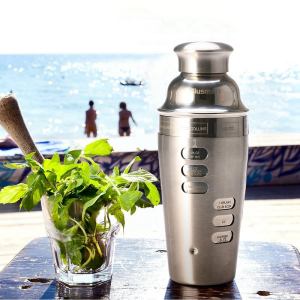 Stainless steel cocktail shaker