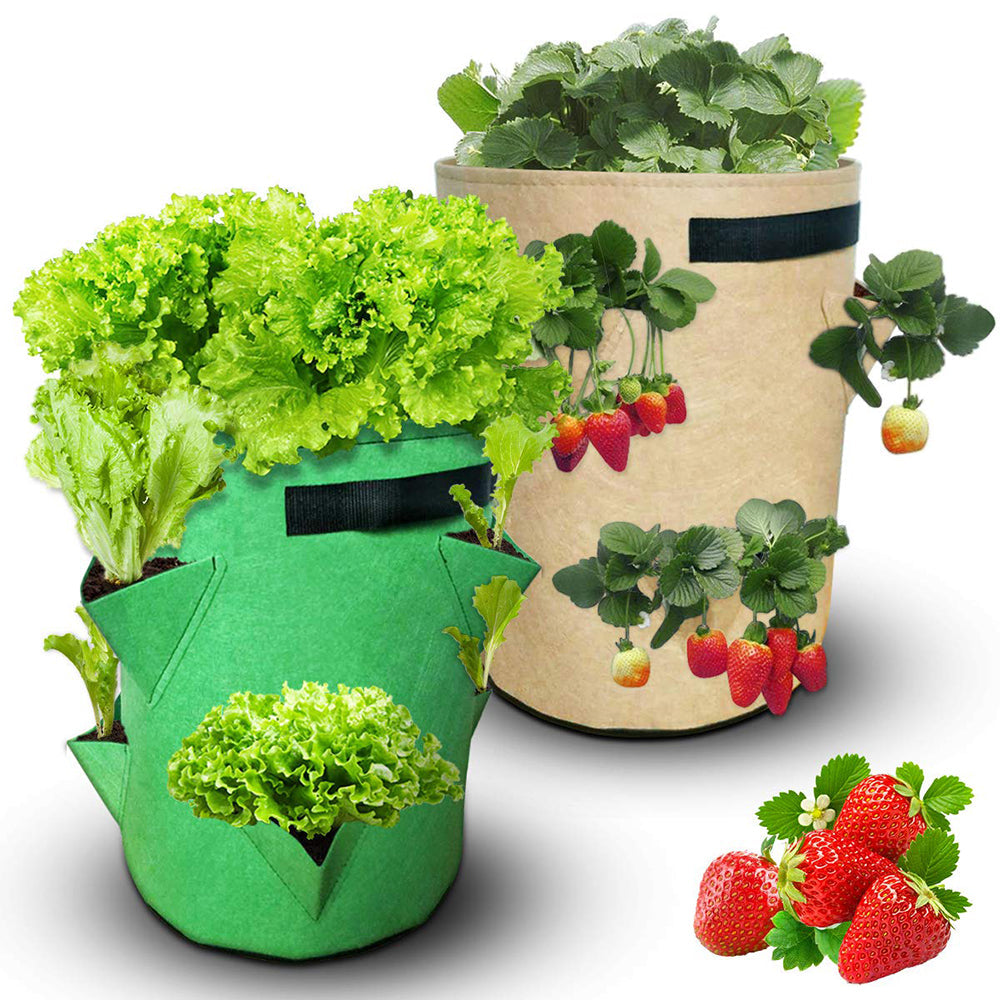 Fruit and vegetables grow bag