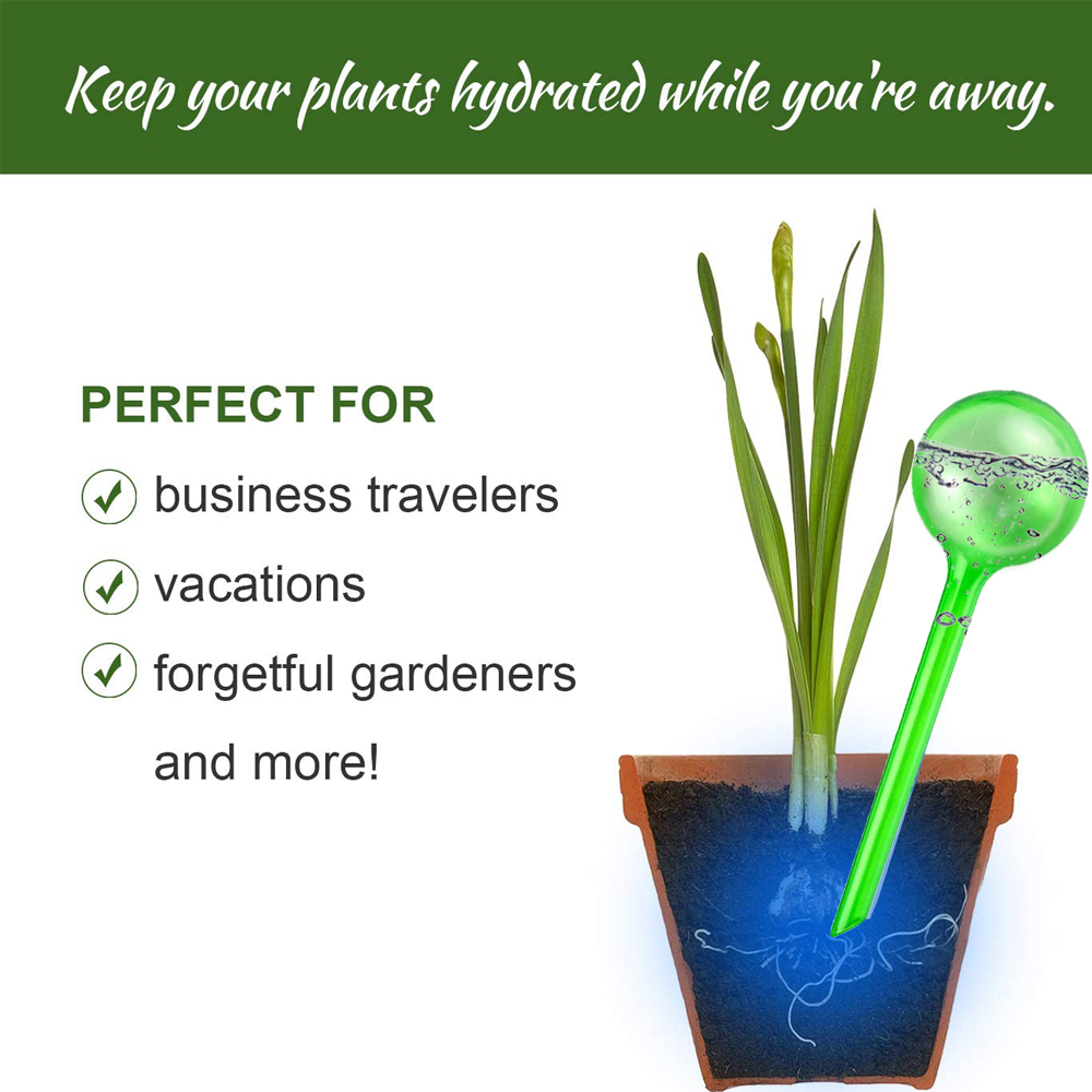 Drip irrigation plant watering globes - multi packs - Image 8