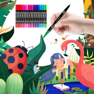 Dual tip fine liner & brush coloring pens