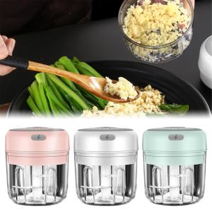 Electric mini vegetable chopper & masher