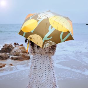 Colorfull automatic umbrella