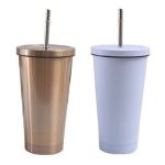 Portable stainless steel drinking mug with lid & straw