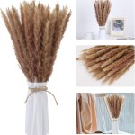Naturally dried small pampas 15pack