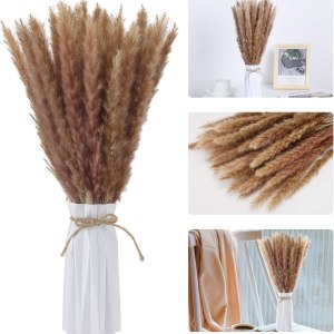 Naturally dried small pampas 15pack