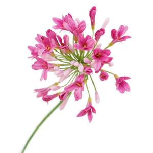Artificial agapanthus flower