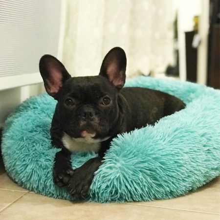 Warm plush pet bed - Image 14