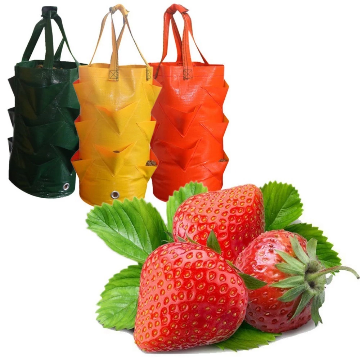 Garden plants grow bag - Image 2