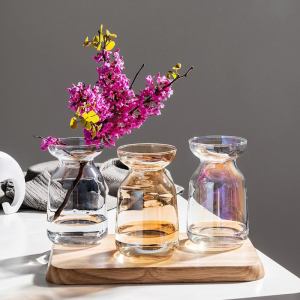 Nordic style glass vase
