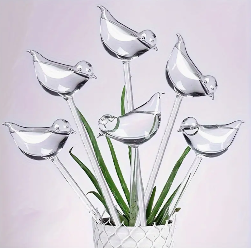 Drip irrigation plant watering globes - multi packs - Image 16