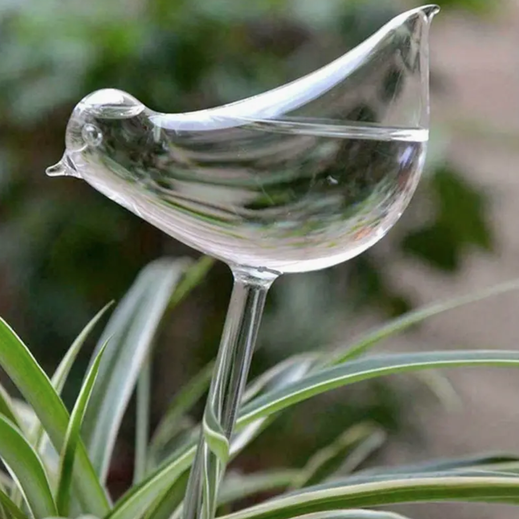 Drip irrigation plant watering globes - multi packs - Image 14