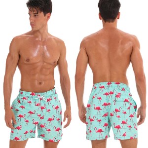 Summer beach shorts for men