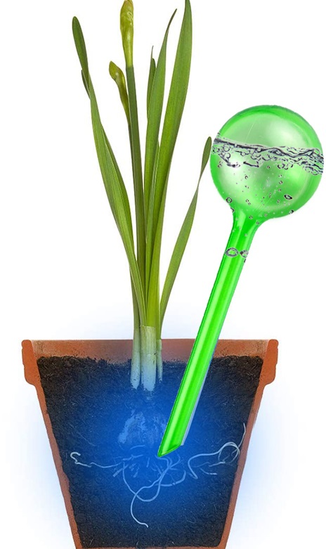 Drip irrigation plant watering globes - multi packs - Image 9