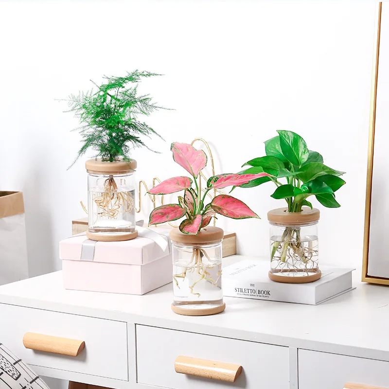 Plastic hydroponic plants pot vase - Image 2
