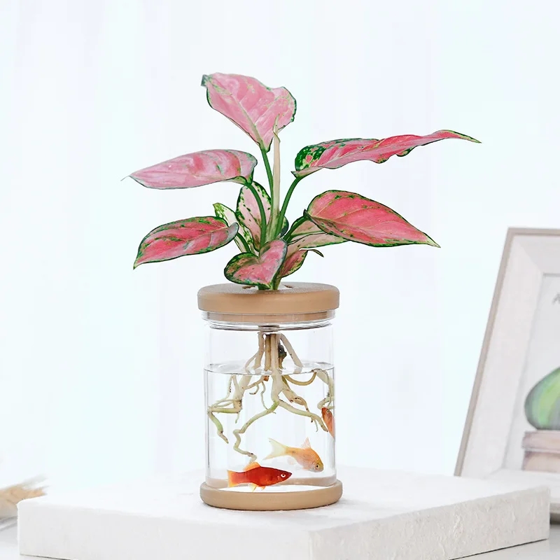 Plastic hydroponic plants pot vase - Image 5