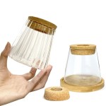 Transparent glass flower pot vase