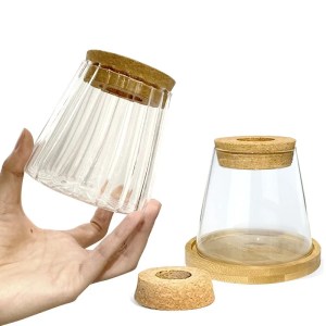 Transparent glass flower pot vase