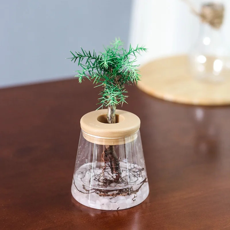 Plastic hydroponic plants pot vase - Image 11