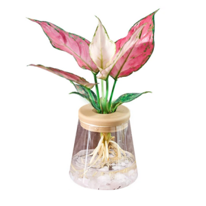 Plastic hydroponic plants pot vase