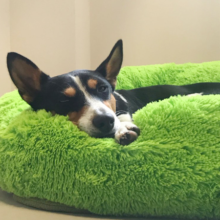 Warm plush pet bed - 60cm - Image 10