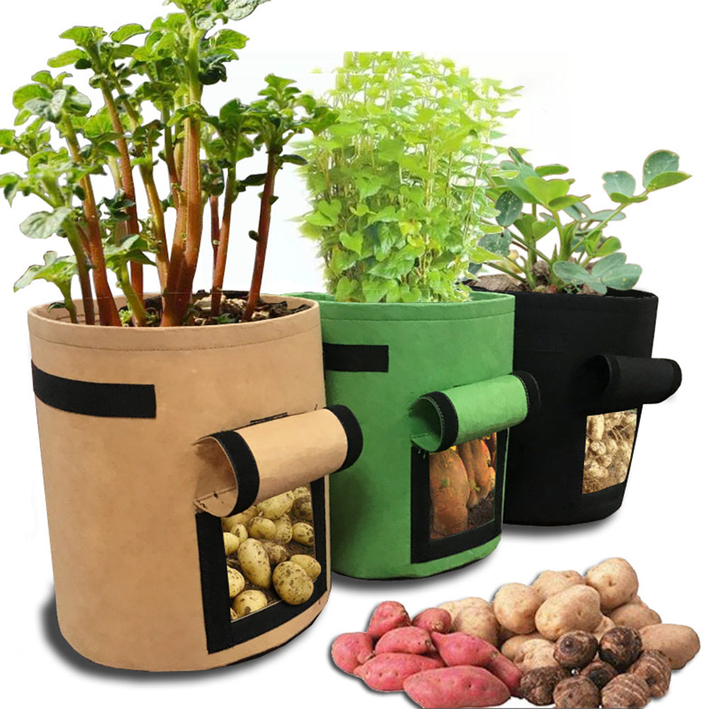Vegetable planting grow bag with window - Image 7
