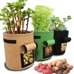 Vegetable planting grow bag with window