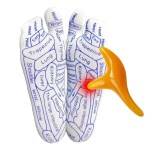 Reflexology acupressure points printed socks & massaging tool