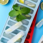 10 grids silicone long Ice cube mold