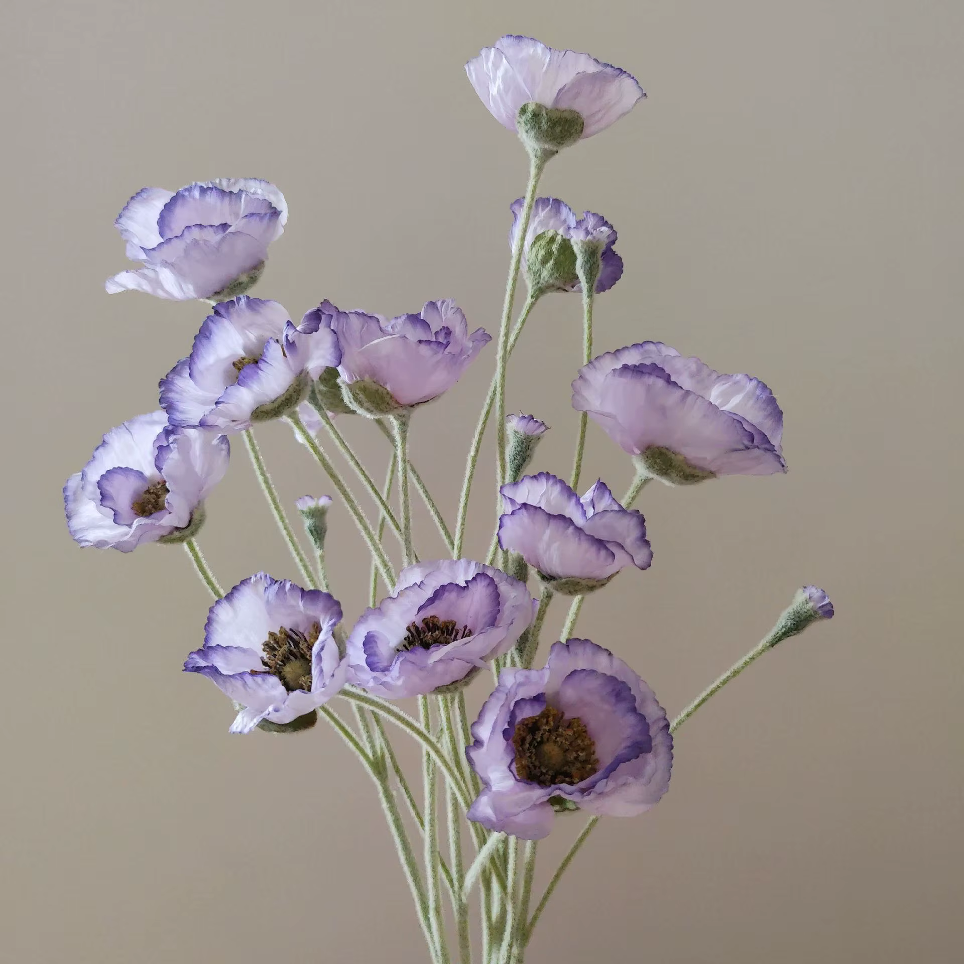 5 head artificial Poppy flower - Image 4