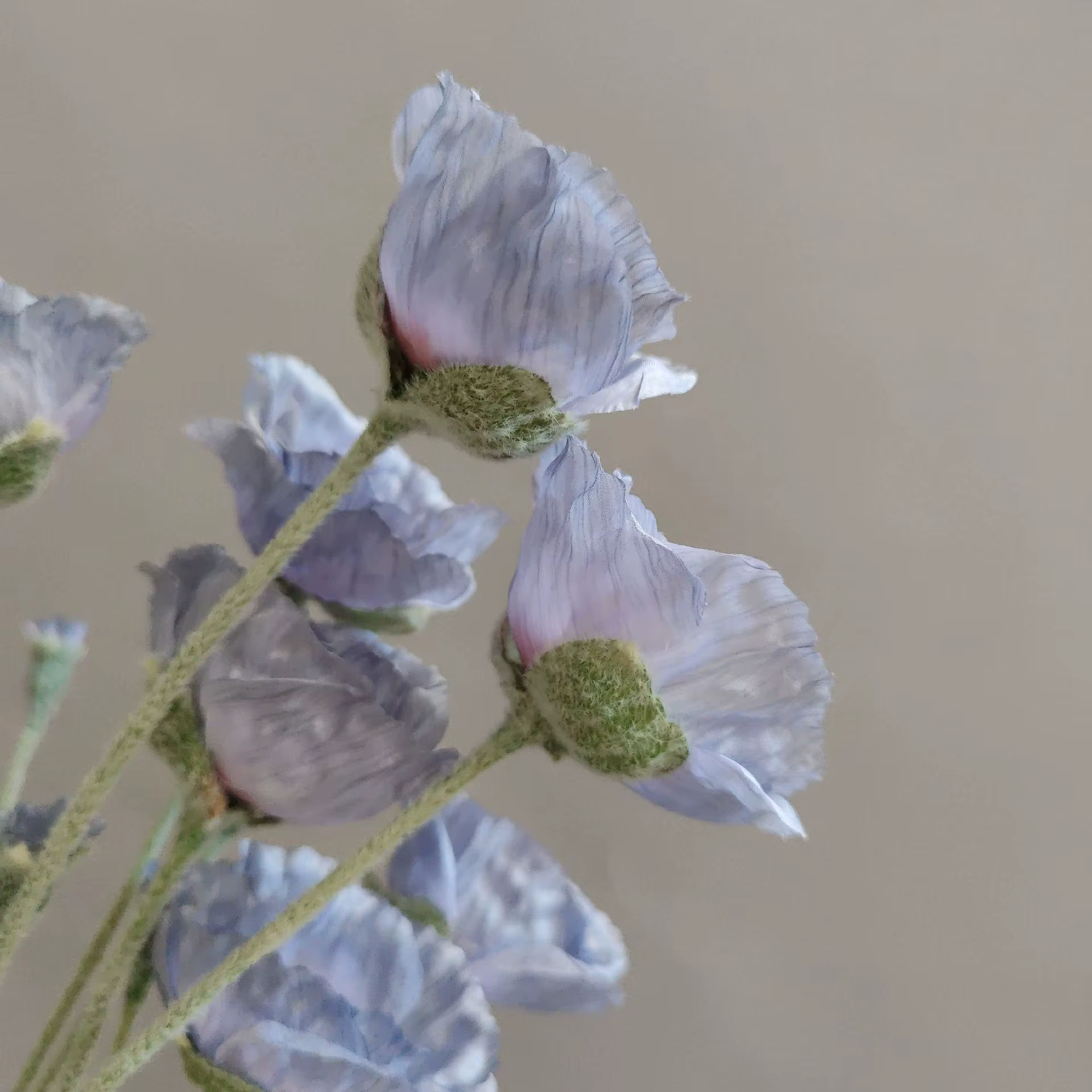 5 head artificial Poppy flower - Image 26
