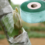 Biodegradable plants grafting tape