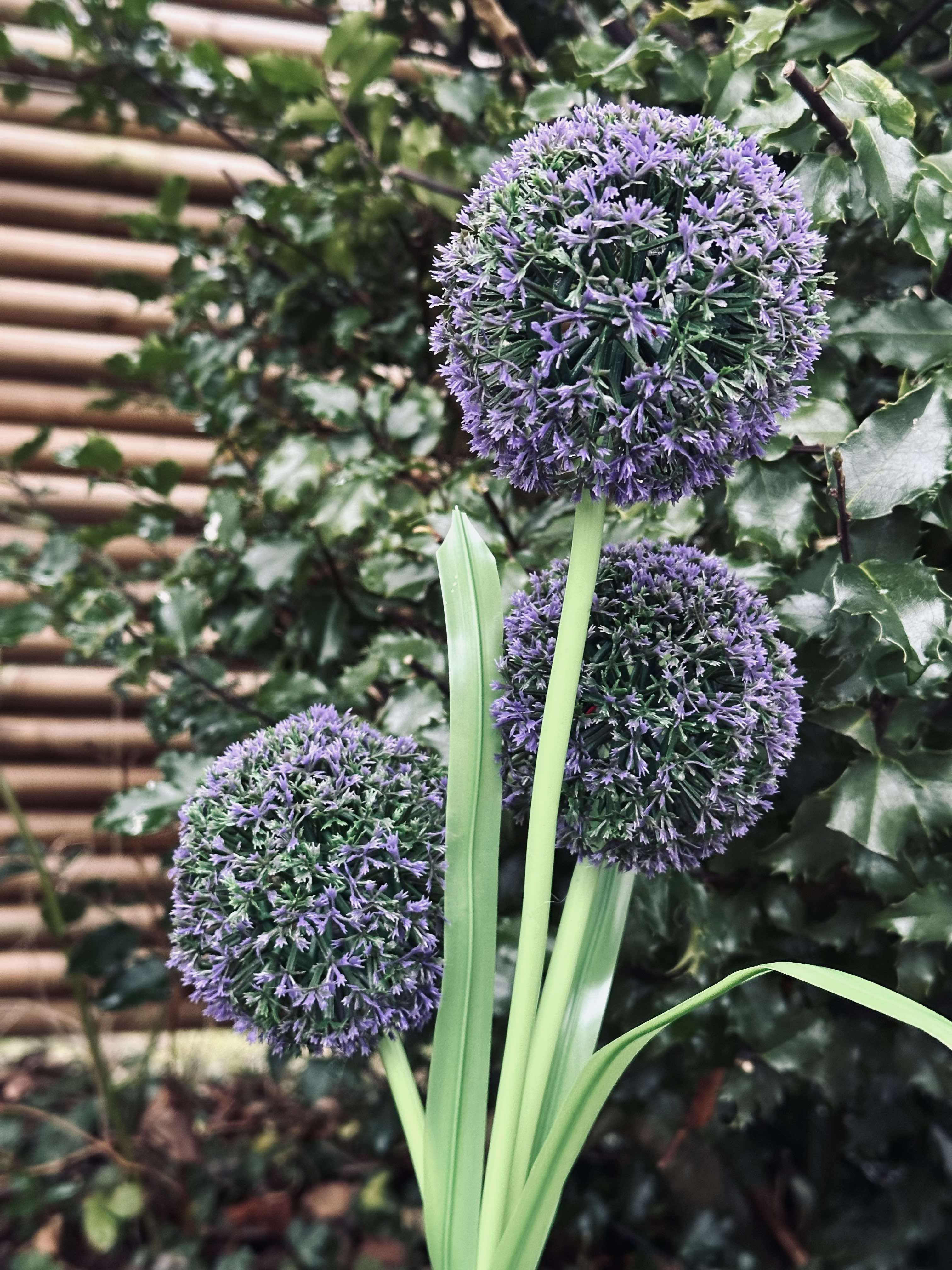 Outdoor Dandelion solar lights - Image 9