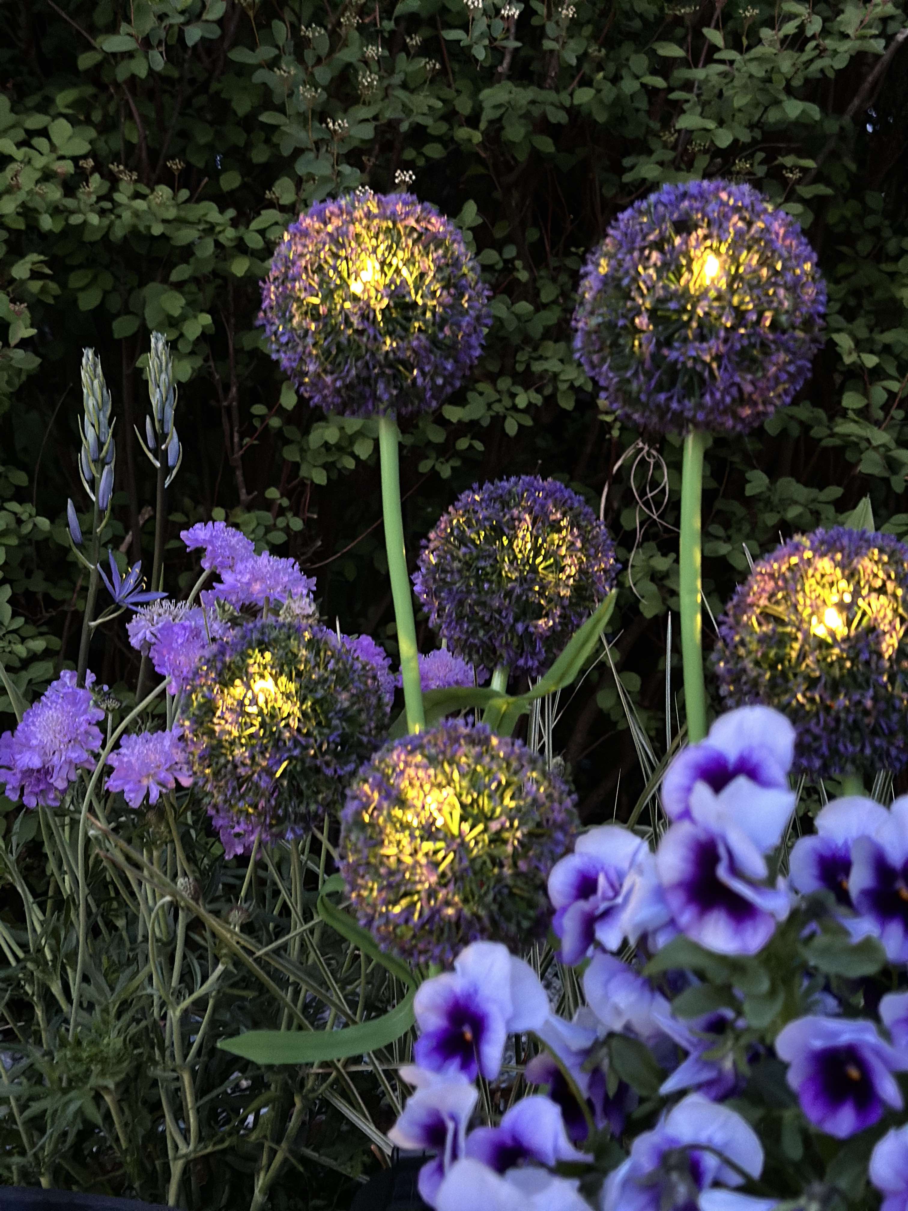 Outdoor Dandelion solar lights - Image 3