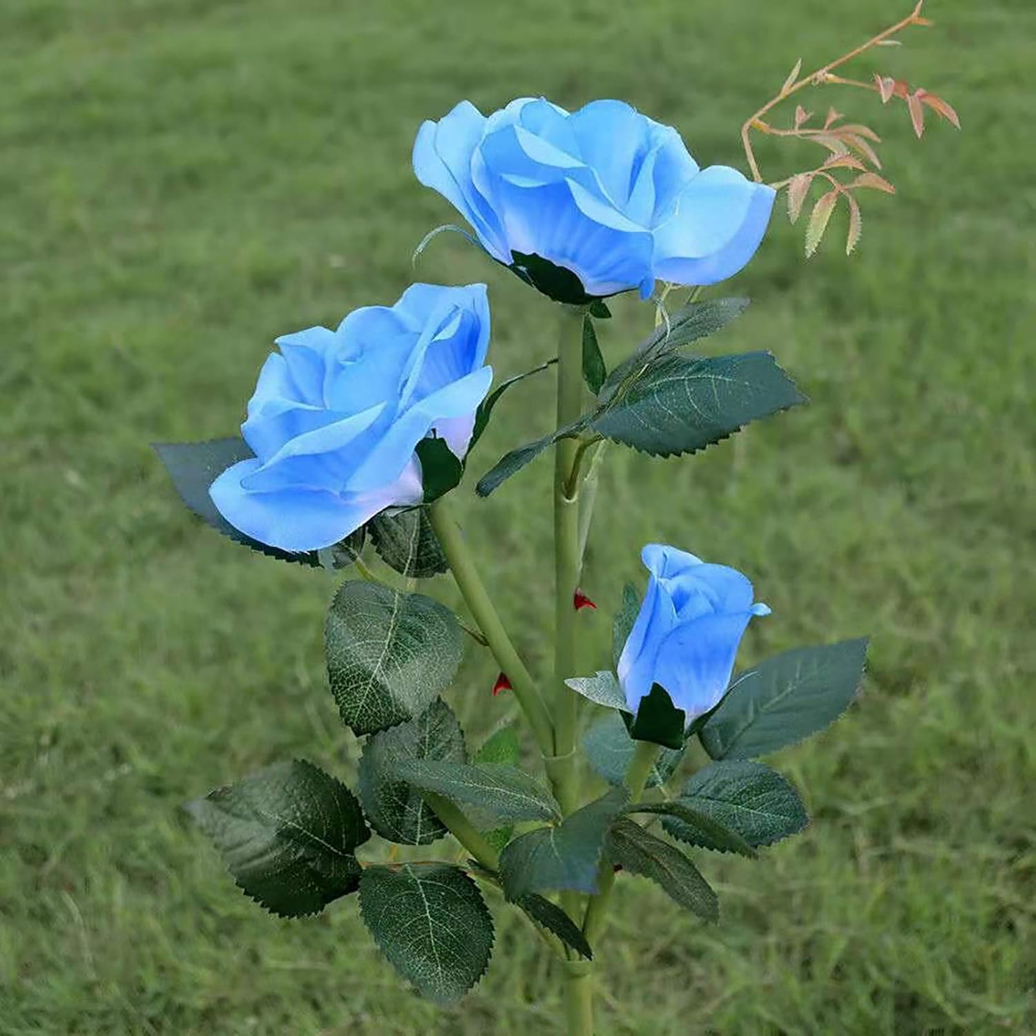 Solar powered 3-head Rose flower outdoor light - Image 19