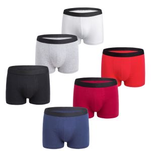 Men's cotton boxer briefs 6-pack