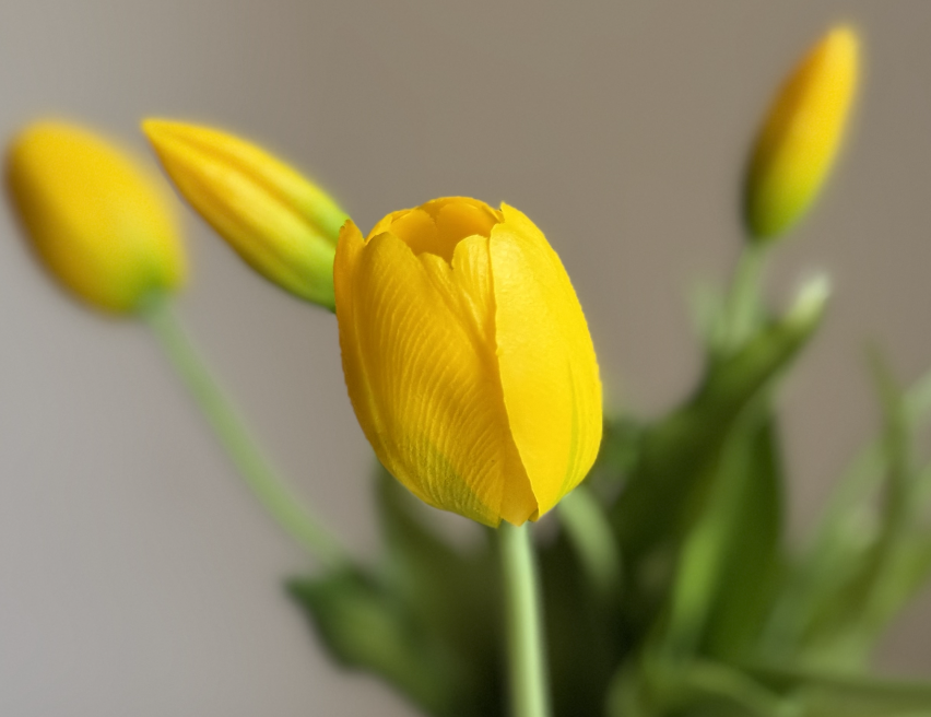Artificial Tulip flower bouquet - Image 21